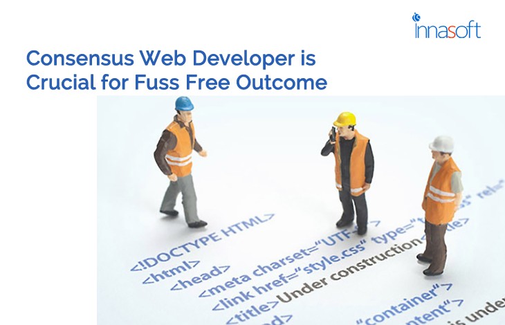 Consensus With Web Developer Is Crucial For Fuss Free Outcome